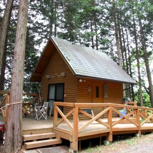 cabin1